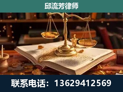 维西-刑事案件