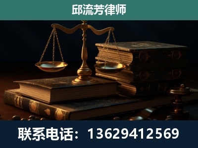 维西-刑事案件